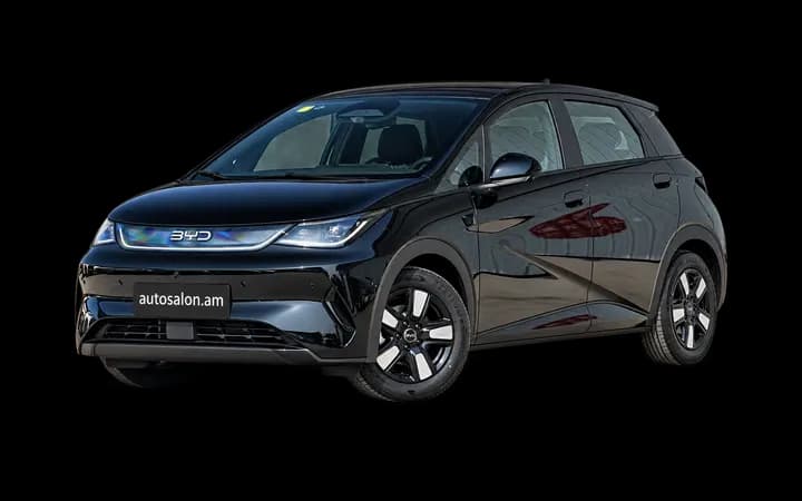 BYD Dolphin Smart Driving Knight 520KM 2025