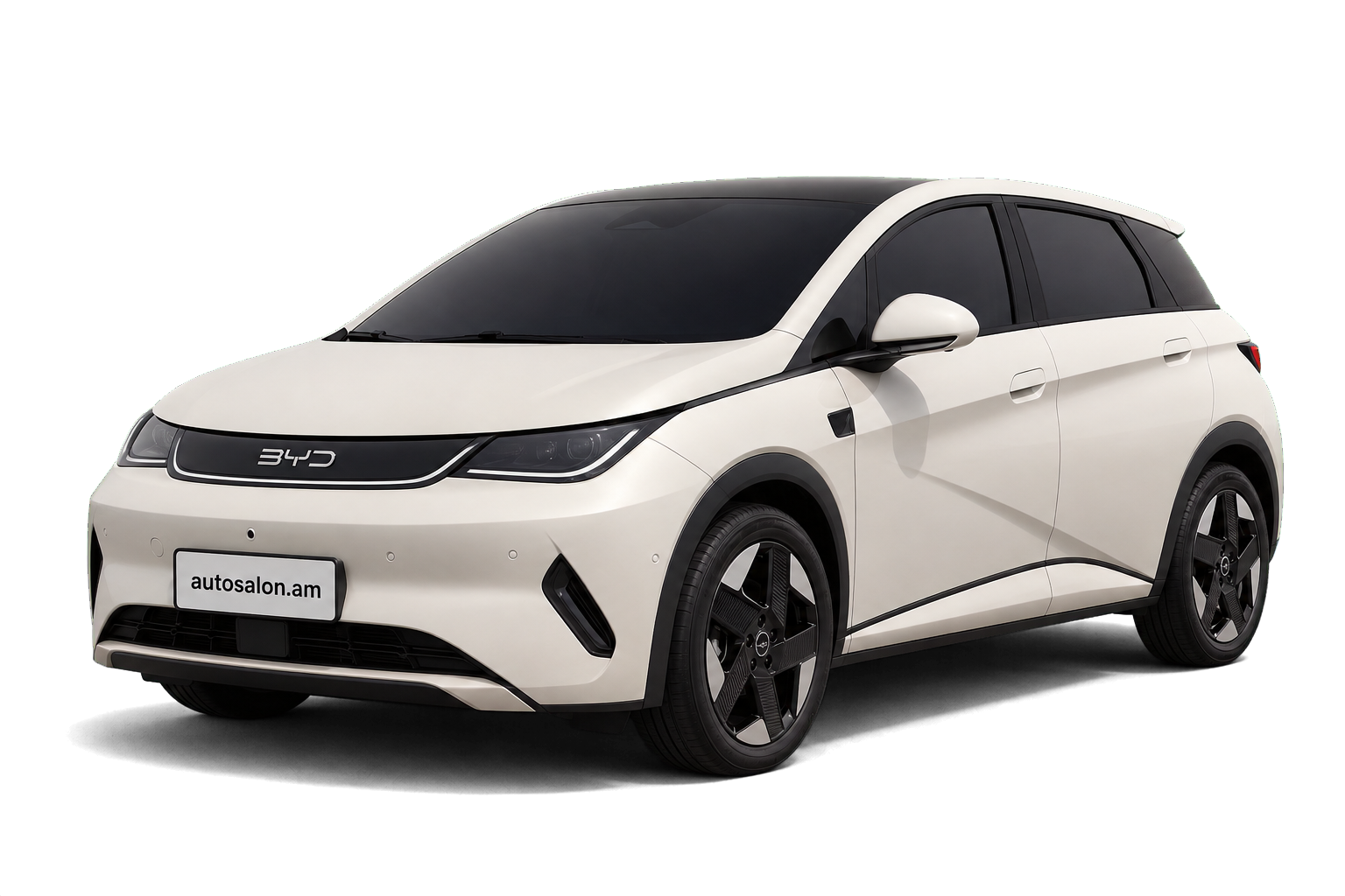 BYD Dolphin Smart Driving Knight 520KM 2025