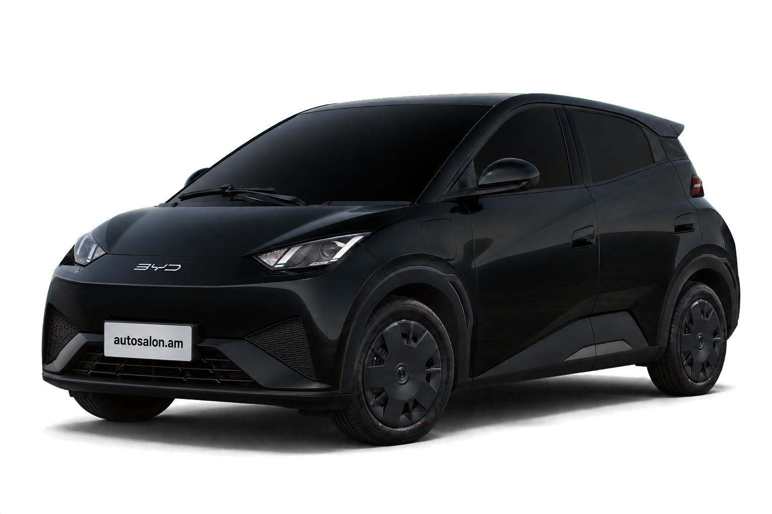BYD Seagull 305KM Smart Driving Vitality 2025