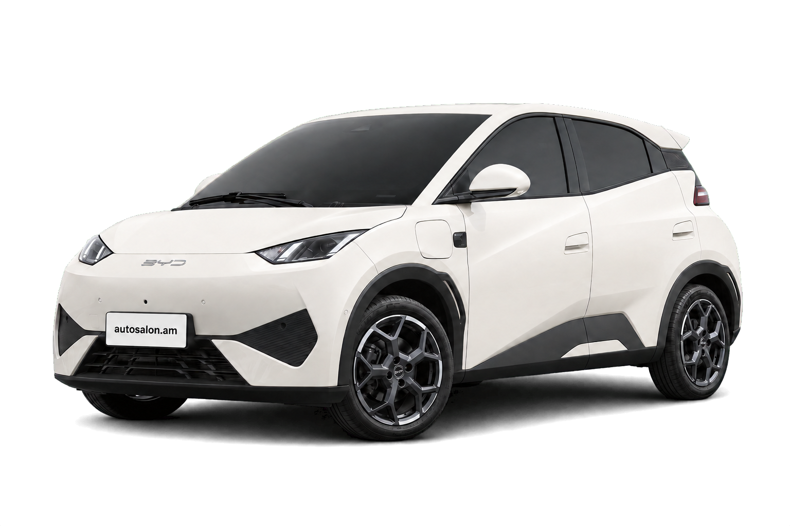 BYD Seagull 405KM Flying 2025