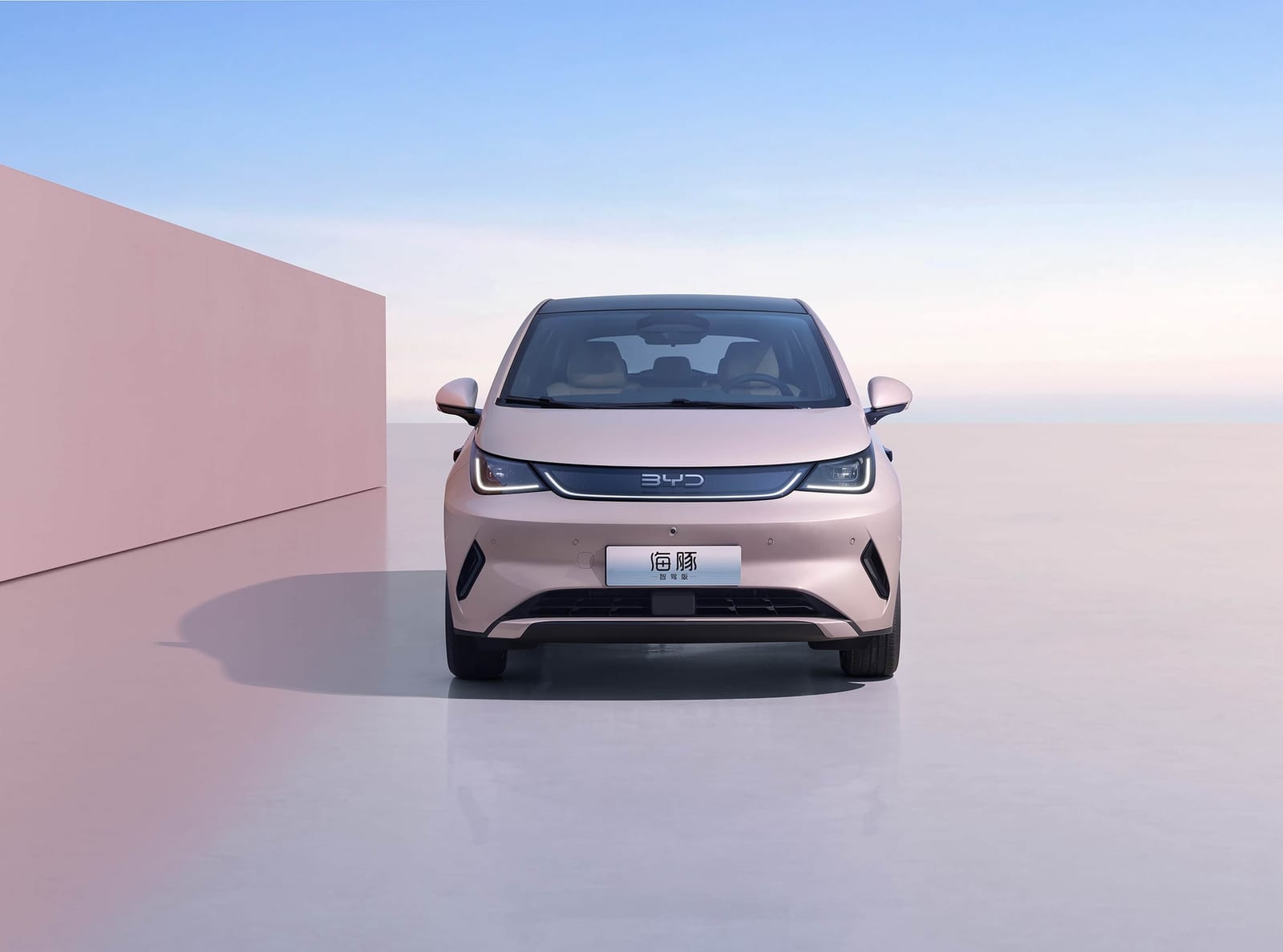 BYD Dolphin Smart Driving Knight 520KM 2025, առջևից