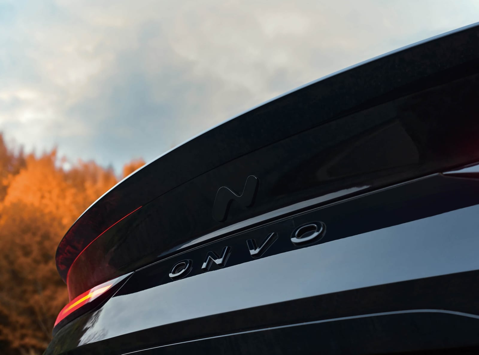 ONVO L60 60 kWh AWD 2026, դետալ