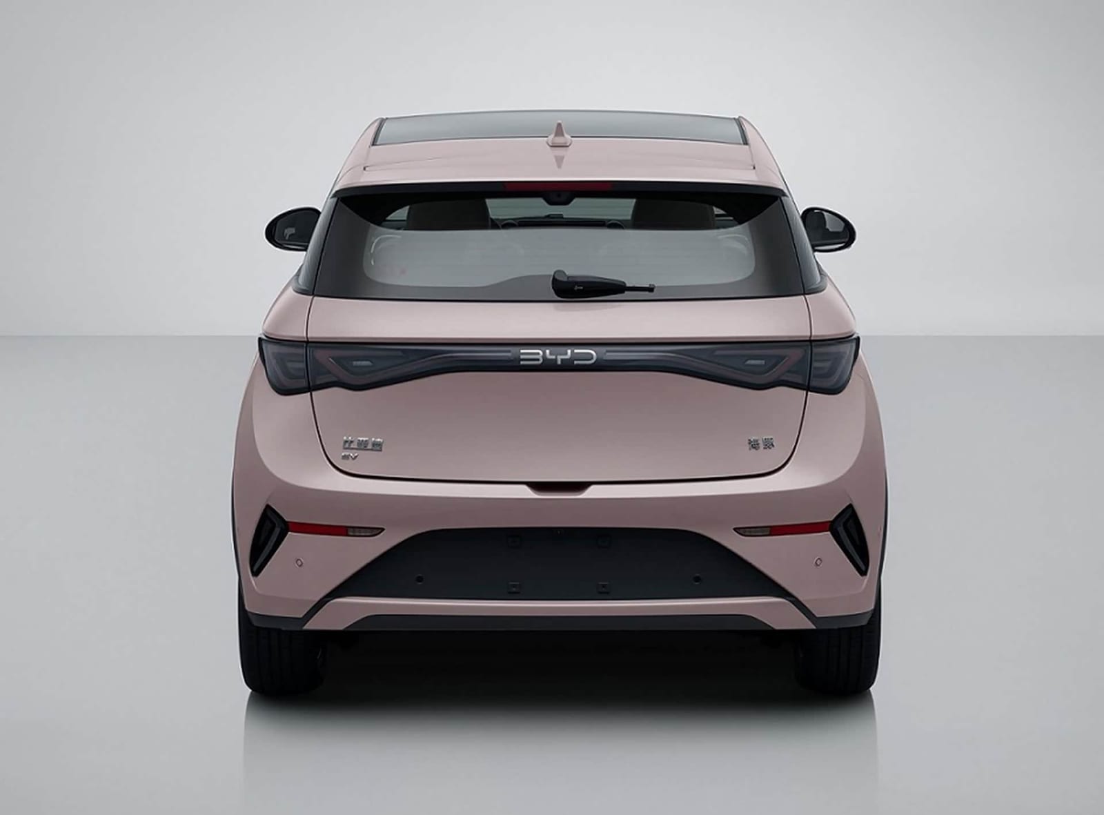 BYD Dolphin Smart Driving Knight 520KM 2025, հետևից