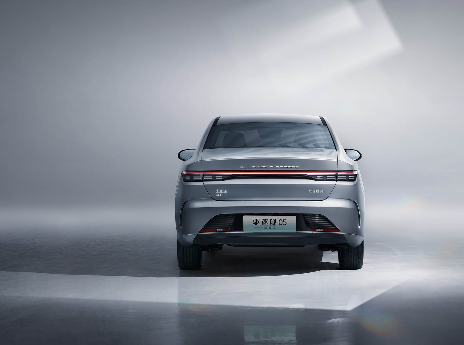 BYD Destroyer 05 DM-i Honor Luxury 120KM 2024, հետևից