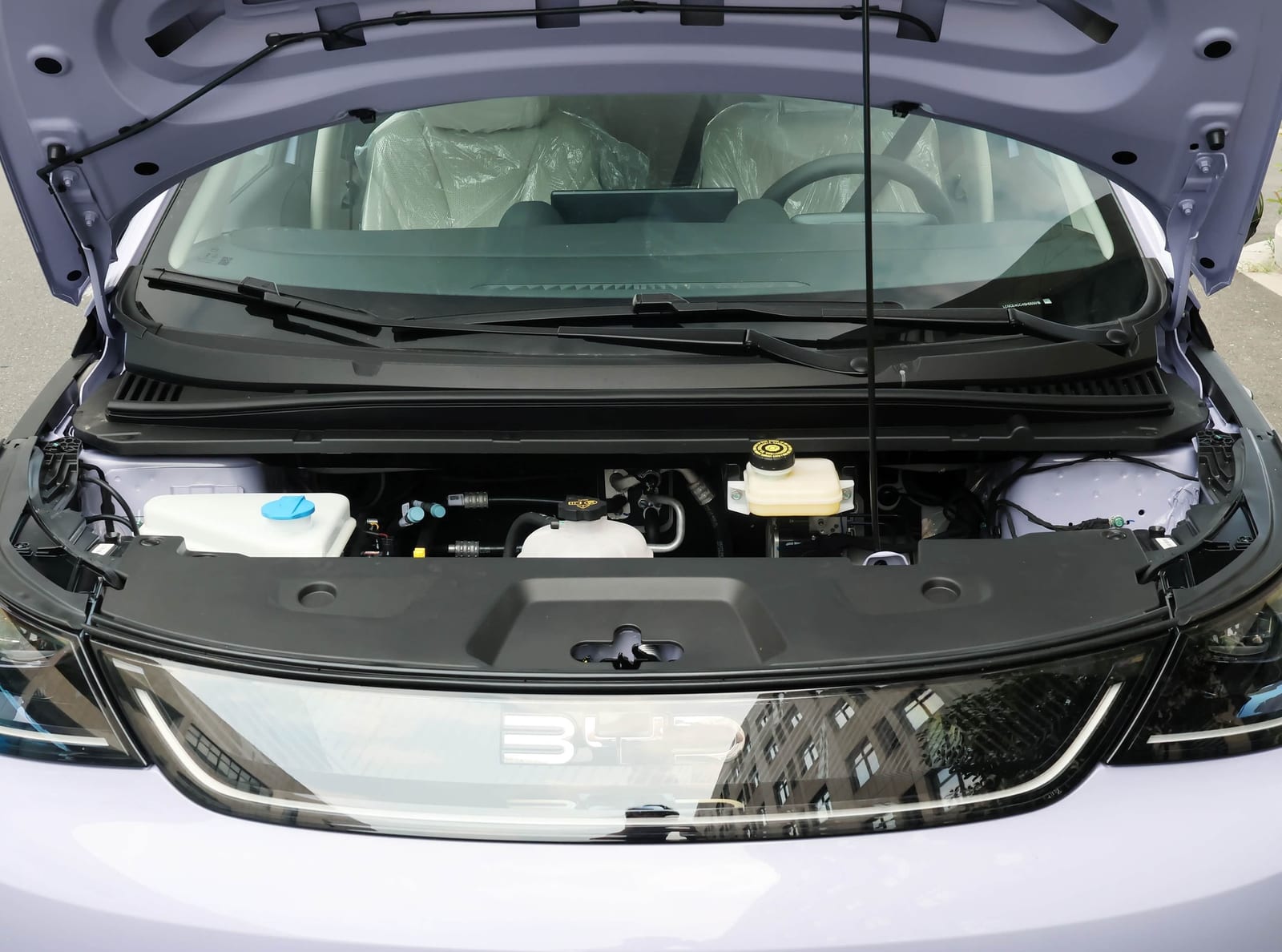 BYD Dolphin Smart Driving Knight 520KM 2025, դետալ